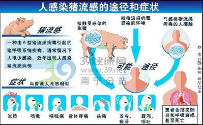 人感染猪流感的症状及预防