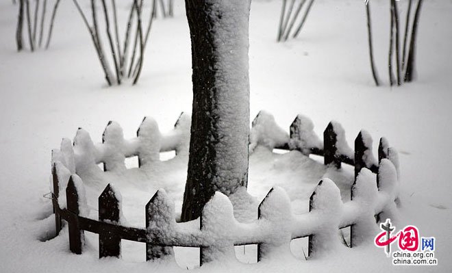 北京冬夜打雷下雪 今日最高温将跌至3℃