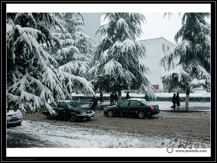 专家；不大可能出现去年的冰冻雨雪灾害