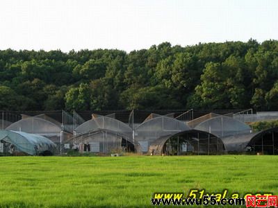 风云旅游：农业产业化花卉基地[河北廊坊] 