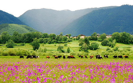 香格里拉旅游景点介绍 香格里拉景点门票价格 完全宝典