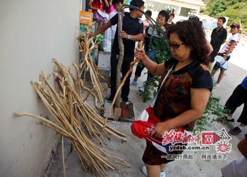 石家庄：村民连根砍小树 驼梁景区内当拐杖卖（图）