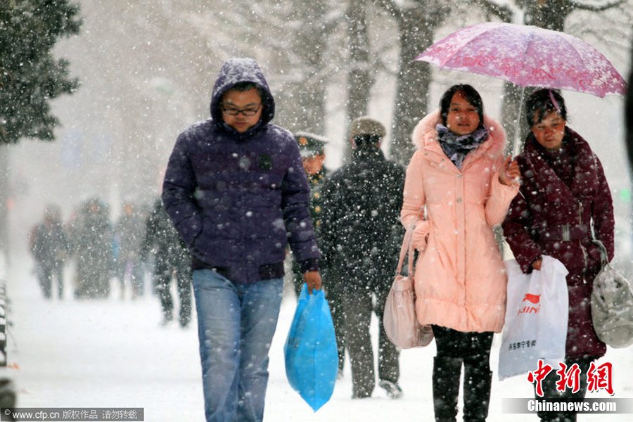 中国北方多地遭大雪袭击 