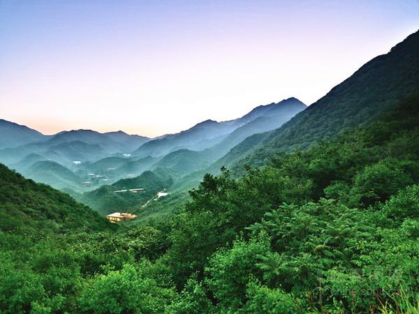 8家竹林山野中的园林餐厅，唯美食和美景不可辜负