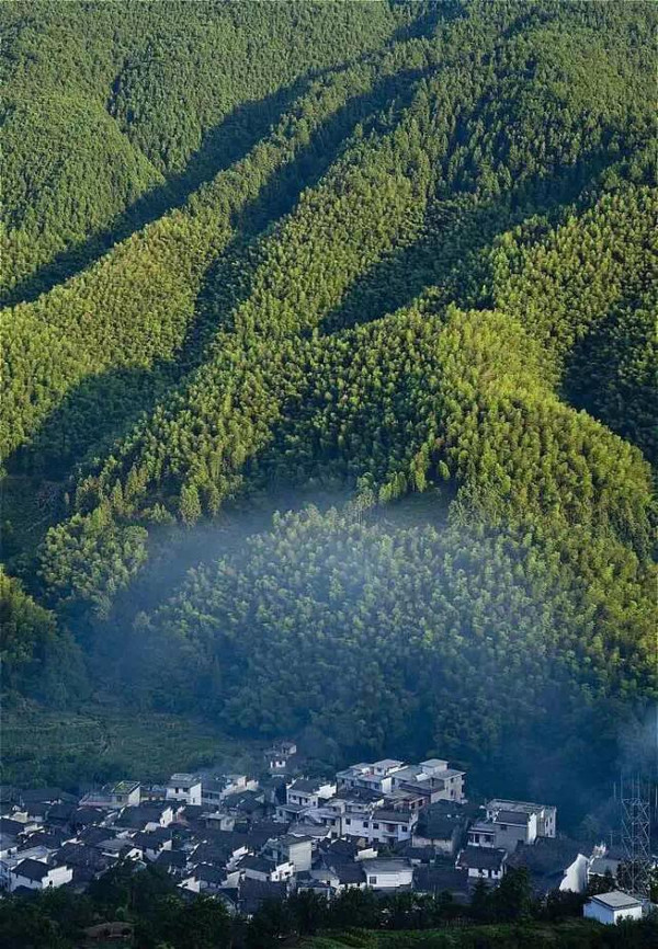 徽州访茶｜传说，每年桃花开时