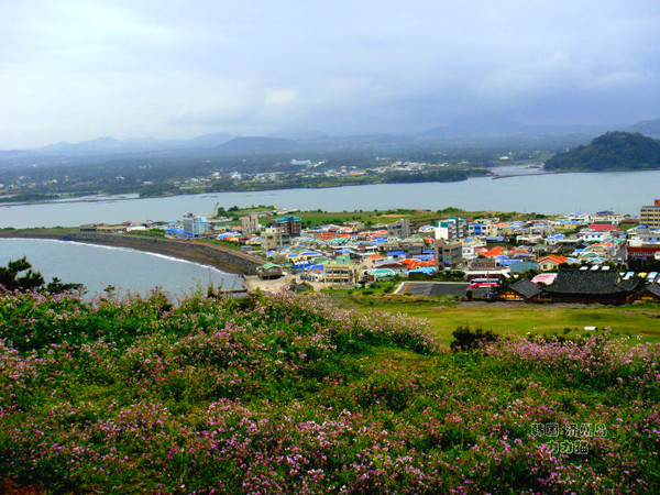 春游韩国夏威夷济州岛