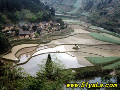 雷家寨