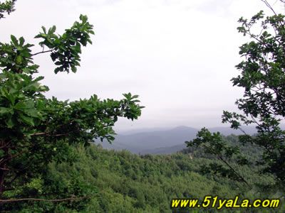 石林风景区