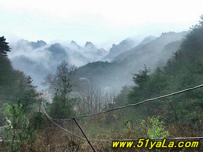 王顺山国家森林公园