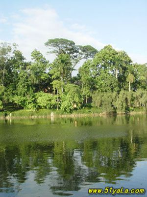 洪泽湖湿地