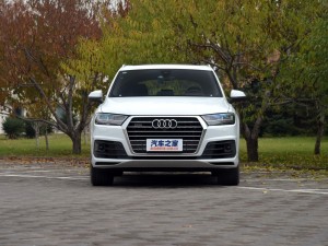 奥迪(进口) 奥迪Q7 2016款 45 TFSI 尊贵型