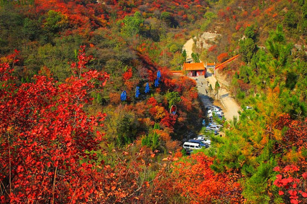 仙台山，让人迷醉其间的红叶天堂