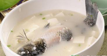 “千滚豆腐万滚鱼” 鱼和豆腐煮20分钟口感好