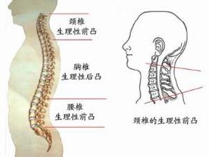 小伙坐车玩手机晕倒 低头族别让颈椎“压力山大”