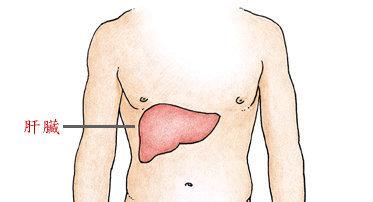 男性护肝常按摩这3大部位