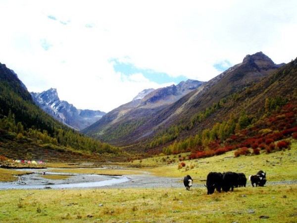 国内有哪些适合居住一周的旅游小镇？